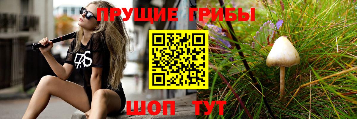 Псилоцибиновые грибы мухоморы Орёл