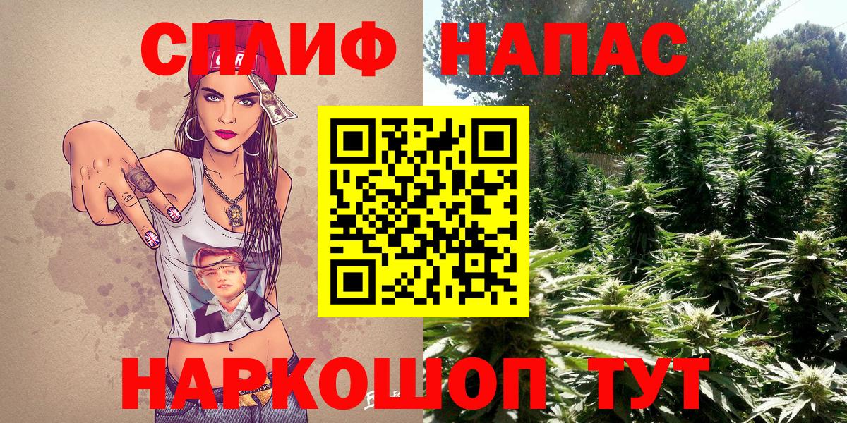 Бошки марихуана индика  Марихуана Bruce Banner  Конопля MAZAR  Орёл  Вход с VPN  Марихуана Amnesia 